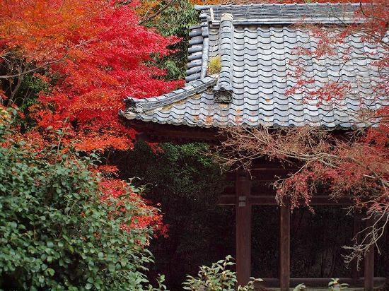 ゲストハウス　華 大津市 エクステリア 写真