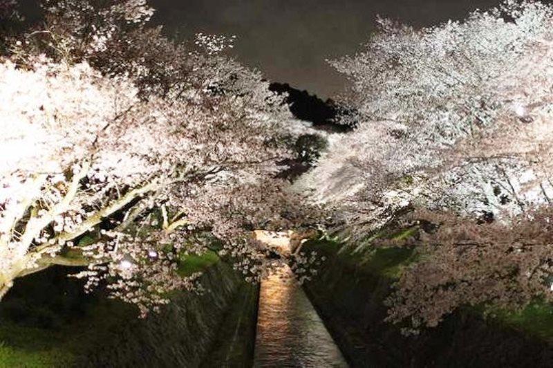ゲストハウス　華 大津市 エクステリア 写真